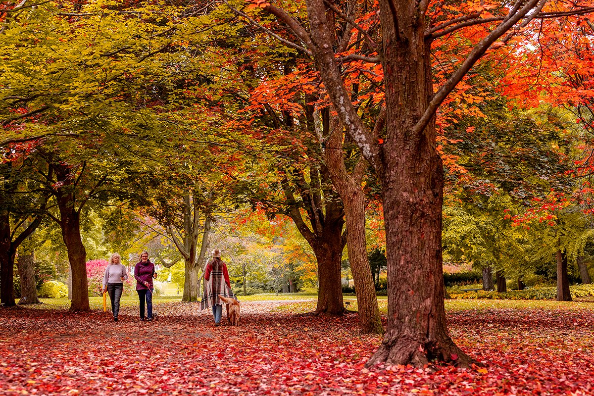 tourismbarrie's tweet photo. Happy Thanksgiving, Barrie! 🦃 Take a break from the hustle and bustle, gather your loved ones and make lasting memories as you explore the breathtaking beauty of Barrie this long weekend.
#HappyThanksgiving #FallVibes #FamilyAndFriends #SeasonOfGratitude #ExploreBarrie https://t.co/2dv3TBcXyF