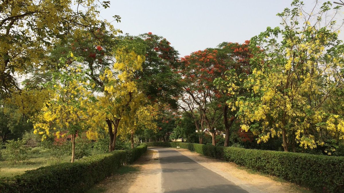 Anhad Kashyap tweet media