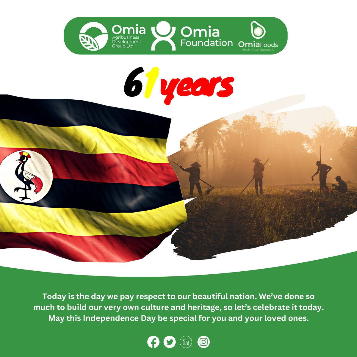 OmiaLtd's tweet image. Happy Independence Uganda!

#IndependenceDay2023 
#farmersfirst
