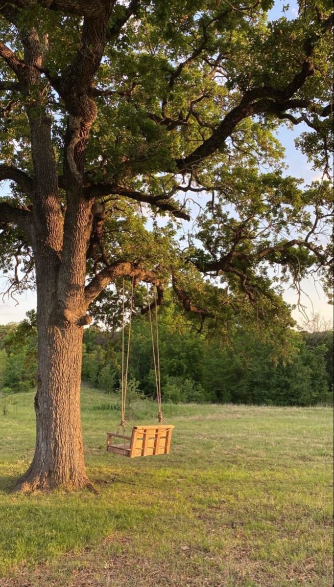 Takathearcher's tweet photo. Taka sat on a swing hung by a tree outside a village. He had his eyes closed to enjoy the evening sun. He's unaware that he's being watched at the moment.

#fantasyrp #cvrp #castlevaniarp #openrp #medievalrp #dndrp https://t.co/VLJvBXnO6u