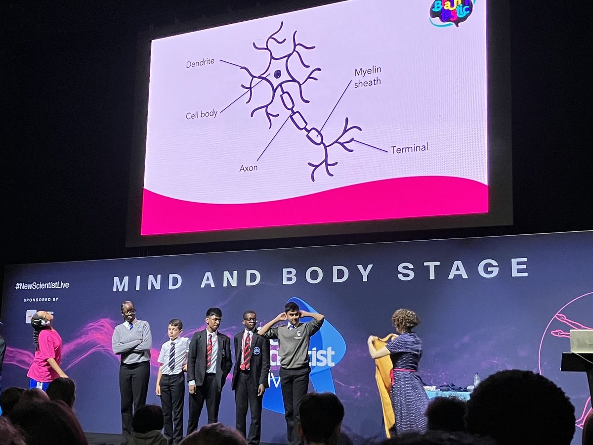 St_Ignatius's tweet photo. Both students and staff getting involved in the show. #HackingtheBrain ๐ง https://t.co/sUfVx5p8Nj