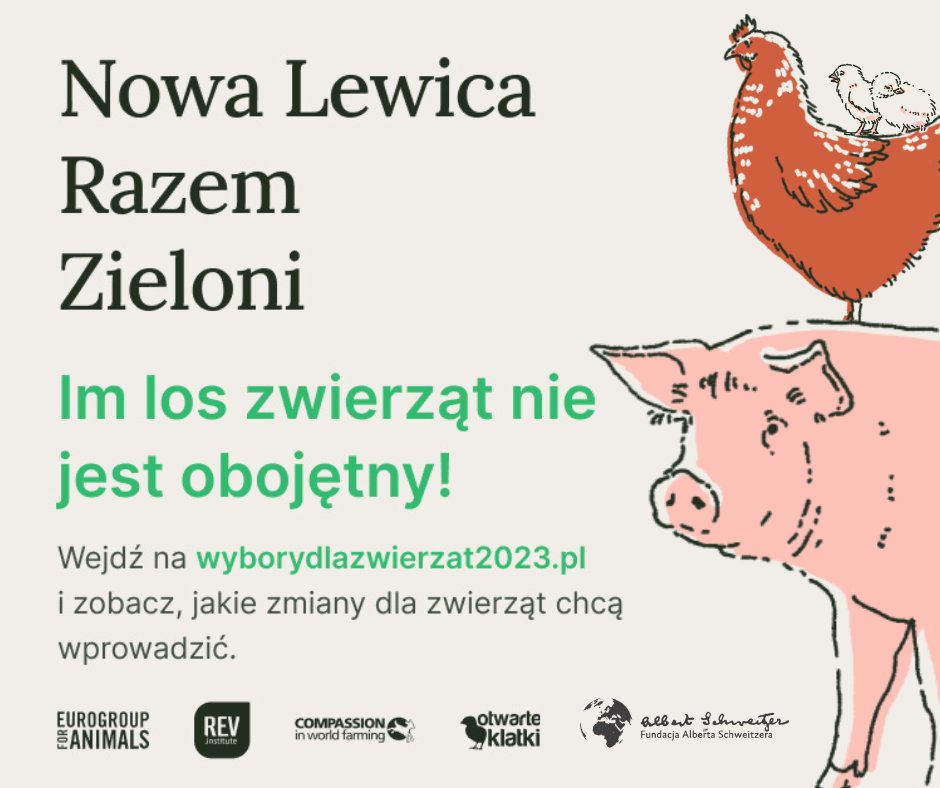 FSchweitzera's tweet photo. 🫶🏼 Dziękujemy @__Lewica , @Zieloni ,@partiarazem za poparcie naszych prozwierzęcych postulatów!
👉🏾 Wejdź na https://t.co/mt7MR1z8RY i zobacz, jakie zmiany mogą się wydarzyć, jeśli zagłosujesz na partie z podium naszego rankingu.
🐷 Bądź głosem zwierząt w tę niedzielę!
#wybory2023 https://t.co/BgwuXBZn6O
