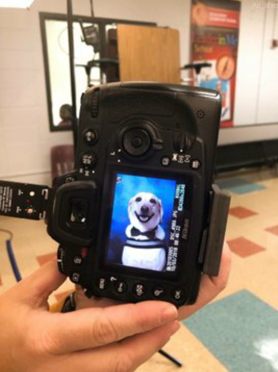 bu köpek okuldaki gorme engelli bir çocuğun rehberliğini yaptığı için okul albümüne dahil edilmiş..