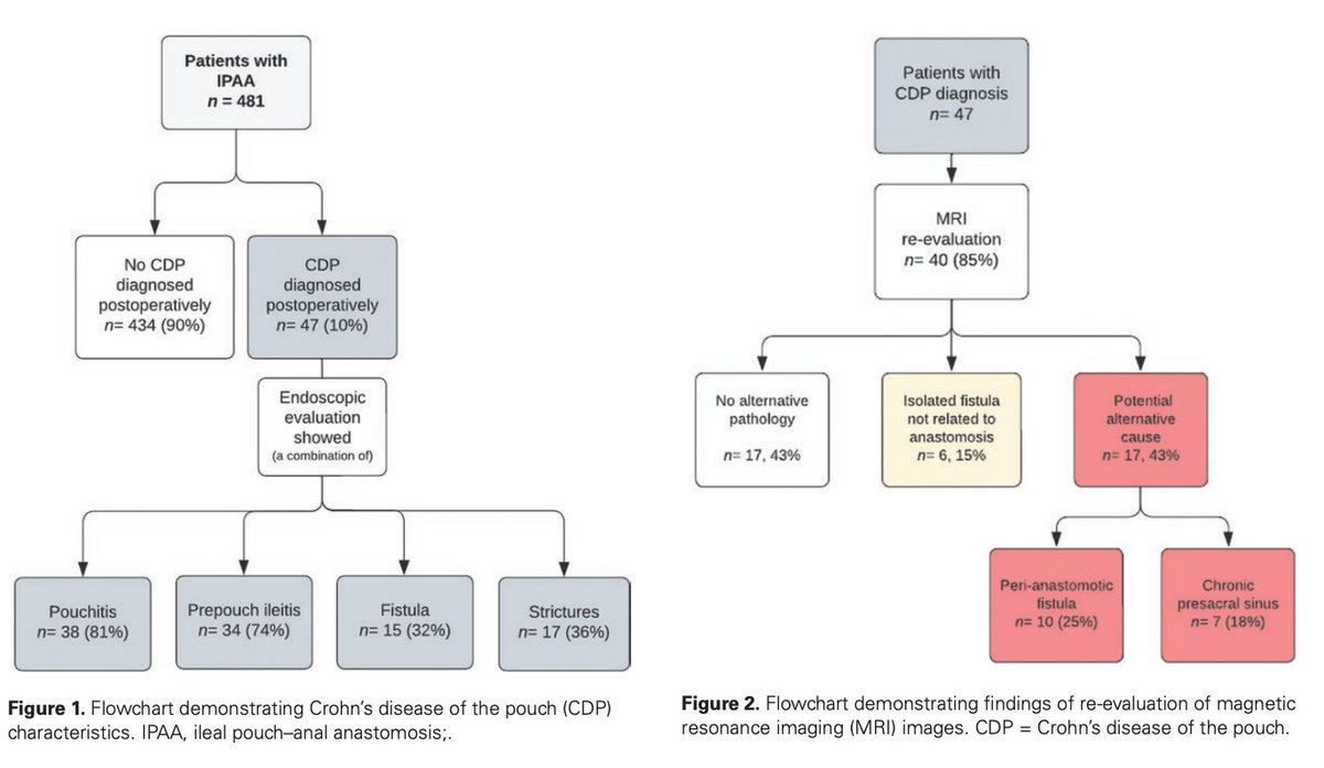 Zlatan Mujagic MD PhD (@mujagiczlatan) on Twitter photo #Crohn’s Disease of the Ileoanal #Pouch, not that common as we think!
➡️ Frequent early and late surgical causes!
📢 Just out in <a href="/IBDJournals/">IBDJournal & CC360</a>
academic.oup.com/ibdjournal/adv… #Crohn’s Disease of the Ileoanal #Pouch, not that common as we think!
➡️ Frequent early and late surgical causes!
📢 Just out in <a href="/IBDJournals/">IBDJournal & CC360</a>
academic.oup.com/ibdjournal/adv…