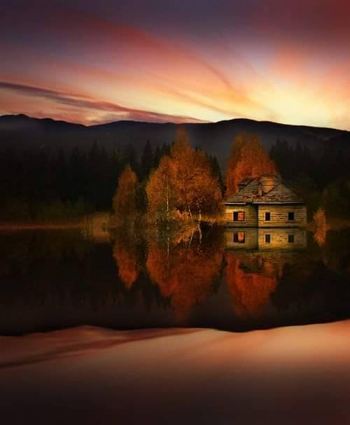 Good Morning Everyone 🌹