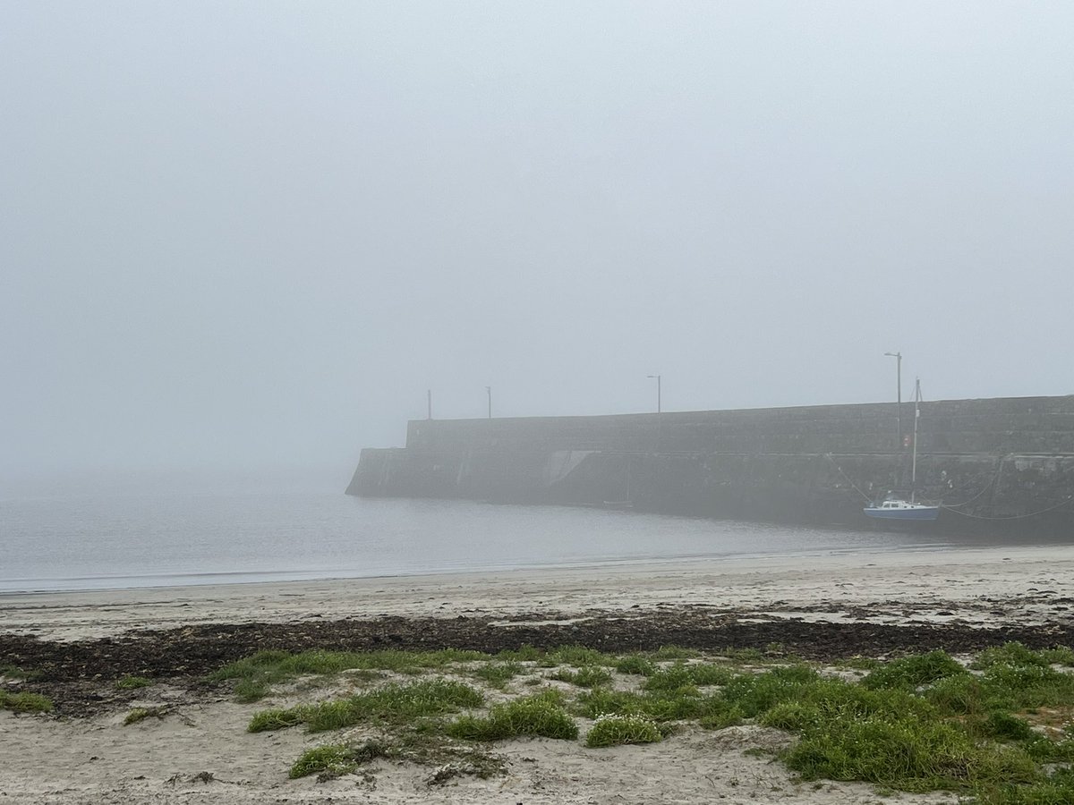 BlueC_Research's tweet photo. A working misty day in Connemara 🌊 🌬️ #BlueC #BlueCResearch_Ireland #BlueCarbon https://t.co/kg0TYIMd9x