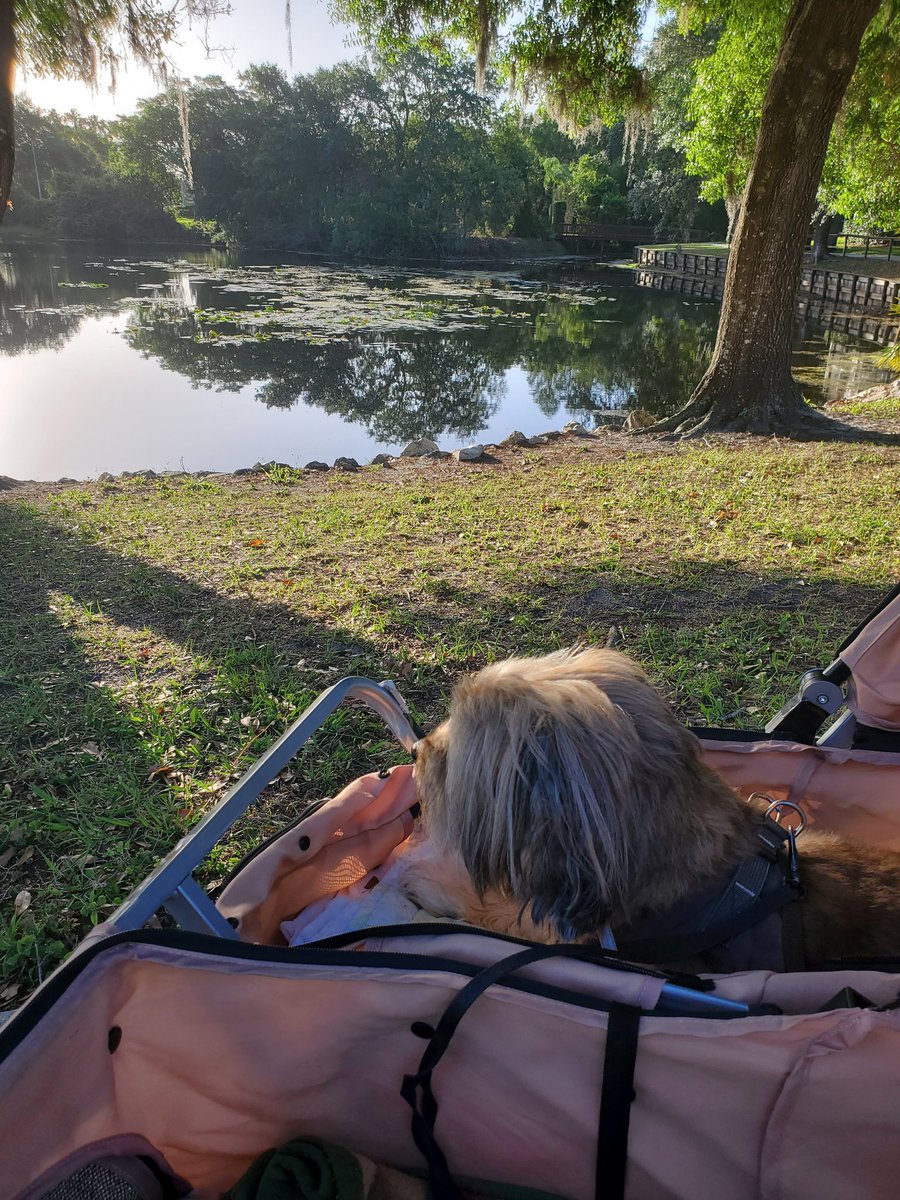 Nothing you love is lost. Things, people, they always go away, sooner or later. U can’t hold them, any more than u can hold moonlight. But if they’ve touched u, if they’re inside u, then they’re still yours. The only things u ever really have are the ones u hold inside your heart