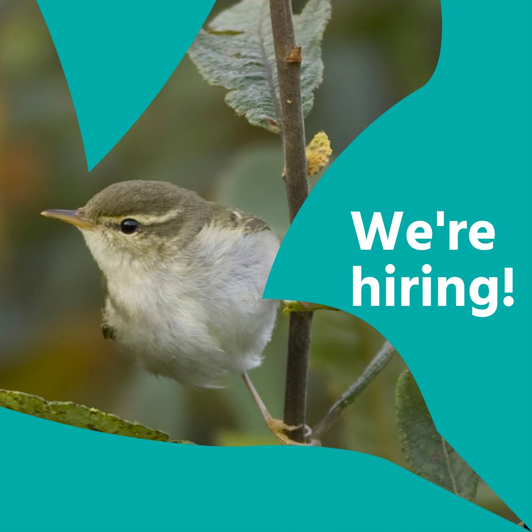 📢We are hiring!

Do you have #nature conservation at heart and would like to represent our organization in its numerous partnerships?

Then you might be our next Conservation Partnership Manager!

More info here 👇birdlife.org/careers/conser…

📆Deadline to apply: 23 October 2023