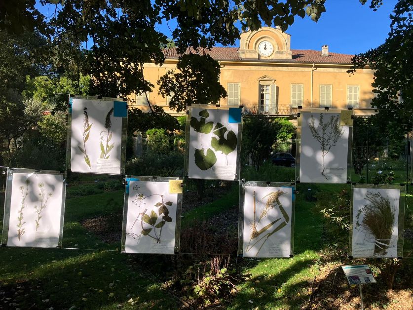 EdoardoArpaia's tweet photo. All’Orto Botanico di Torino fino a domenica 15 ottobre la mostra “In viaggio con la macchina del tempo: l’Erbario dell’Università di Torino".
https://t.co/NsNpwYKUQI
@unito #torino #erbario #ortobotanico https://t.co/xbFIqW3lIv