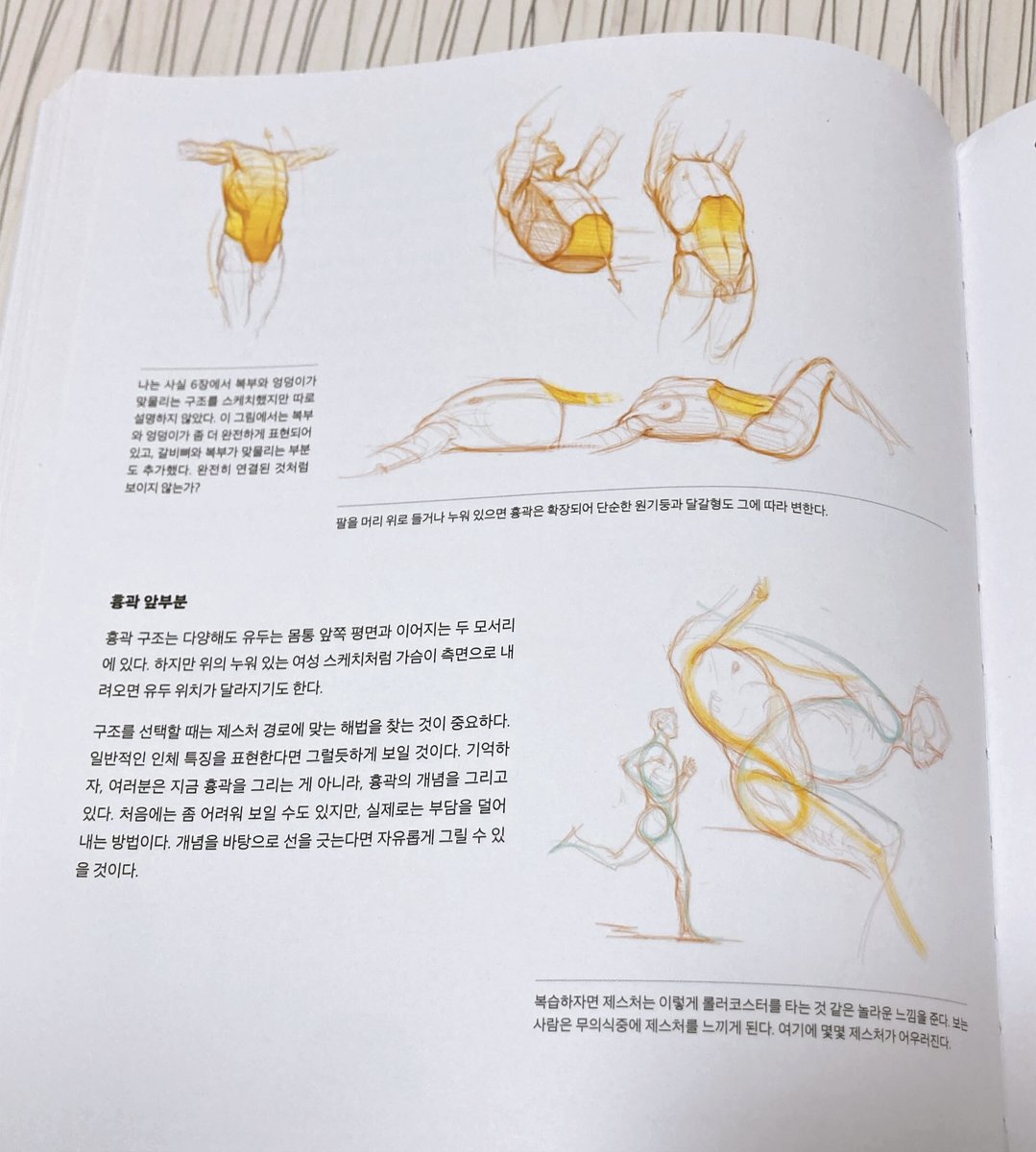 🎨익명의 자료계 tweet media