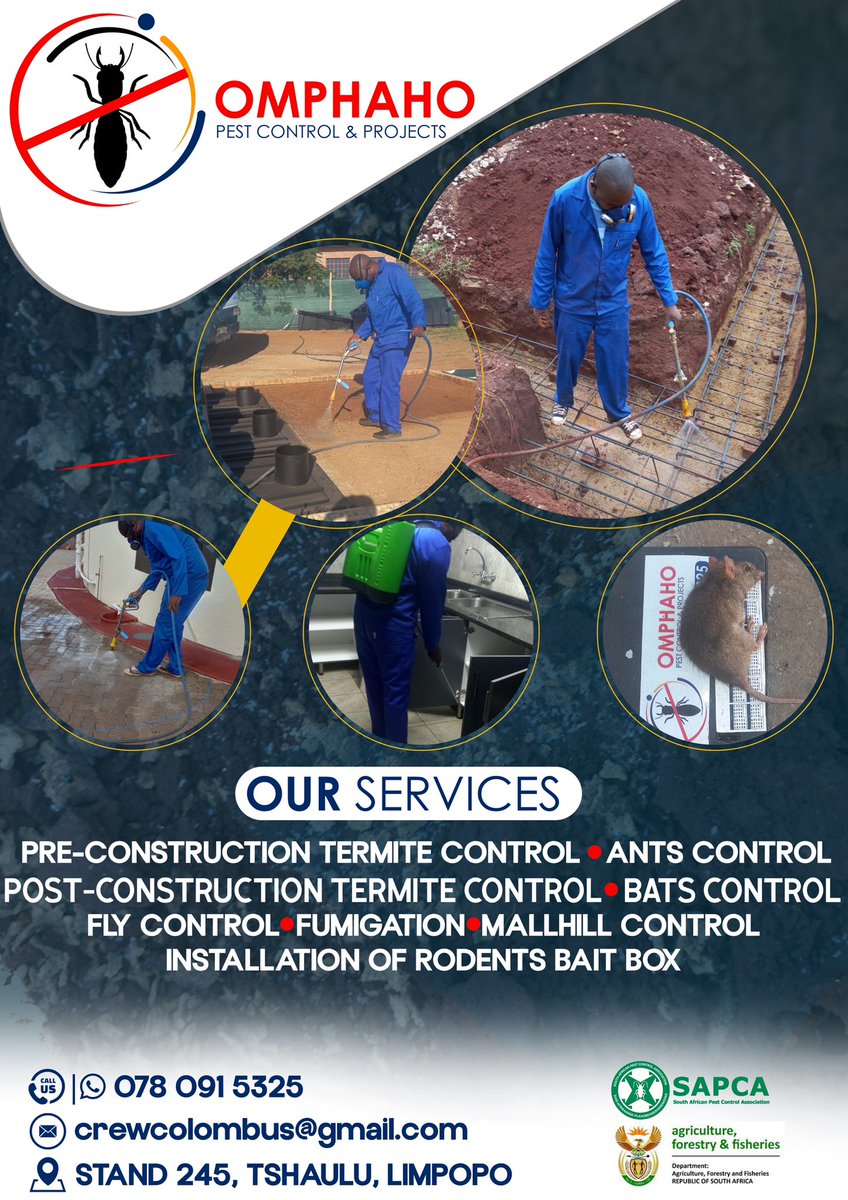 SlozaRsa's tweet image. 🚨Special Offers🚨

Logo R250
Business card R200
Letterhead R150
Business flyer design R200

DM/app 0767555140
Plz Rt

Black Coffee Telkom Bara HPCSA Wits Dr Matthew HPCSA Johannesburg Mayfair #SenzoMeyiwaTrial Dischem Gauteng Health Dr Zingelwa Go Bokke Sandton MagiX Monday