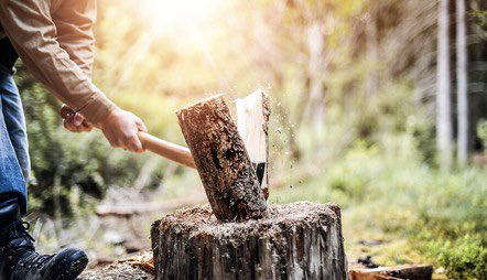 DividendSnwball's tweet photo. If you work towards something, the journey itself can be rewarding. 

Literally, the act of chopping wood for a fire will make you warm up just as much as the fire will.

#Divtwit
#Fintwit
#Investing
#Dividends
#FinancialFreedom
#PassiveIncome 
#DRIP
#DividendSnowball
#DadMatch
#DividendInvesting
#Stocks
#IncomeInvesting
#DividendStocks
#Finance
#StockMarket
#Retirement