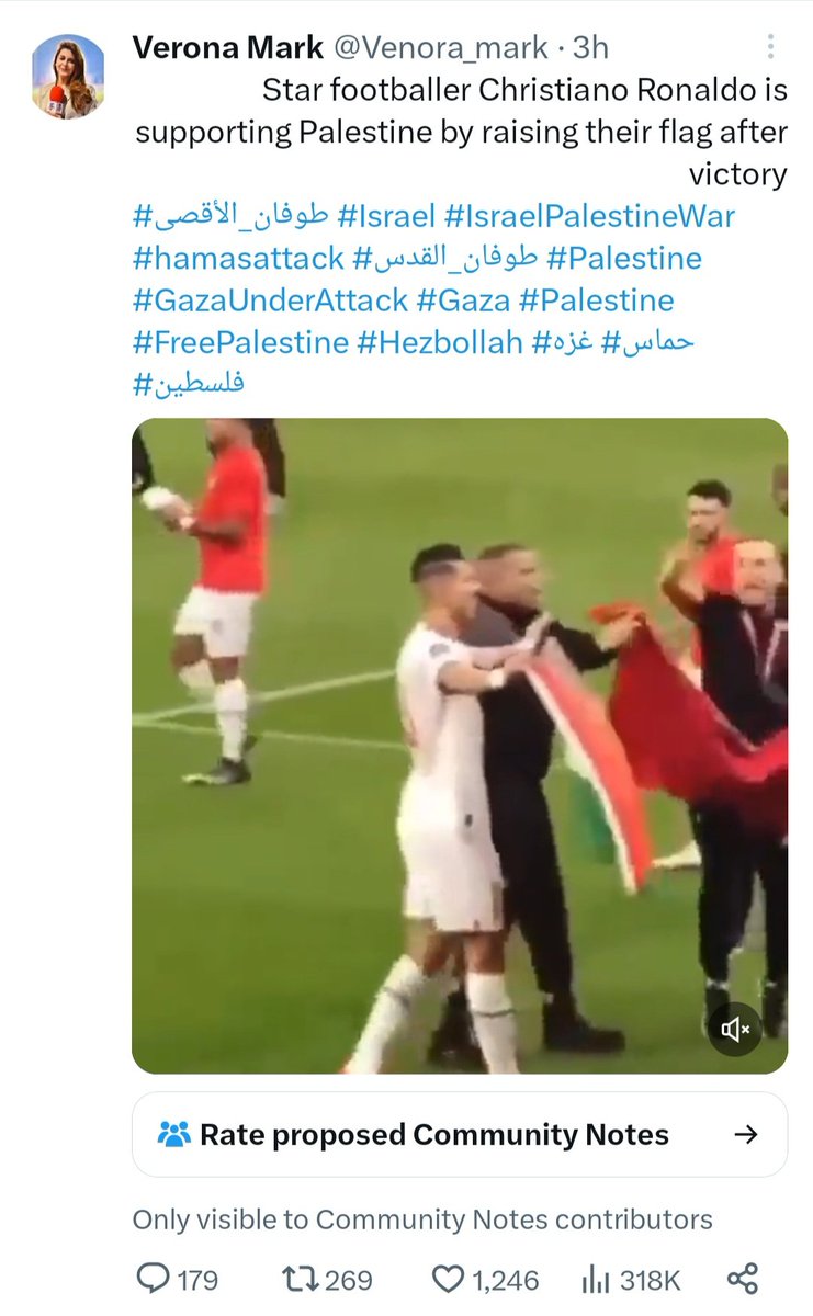That's not Cristiano Ronaldo holding the Palestinian flag. That's ...