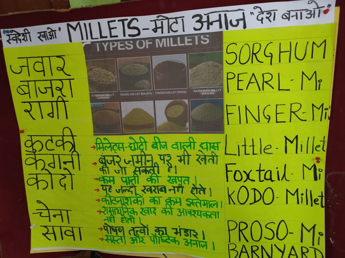 Ramanjeet061973's tweet photo. #NEP2020inBasic
भारतीय भाषाओं का जायका -millets के नाम अलग अलग भाषाओं मे बताती हुई छात्राएं l
Ups(1-8) sisola khurd,Jani,meerut https://t.co/z15kyP706E