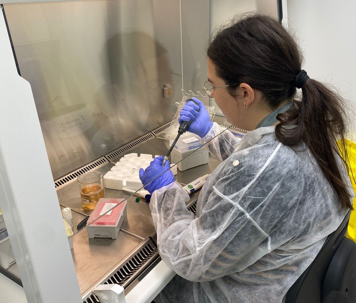 bioupgrade_eu's tweet photo. Today is Monday, the perfetect time to meet Alba Fernandez-Calvo, a dedicated PhD student in Prof. Raul Perez-Jimenez's group @CICbioGUNE, passionately exploring the biophysical intricacies of proteins 🥼🧬
She is using crystaline nanocrystal for bio-applications at #bioUPGRADE https://t.co/QRNscvaVLF