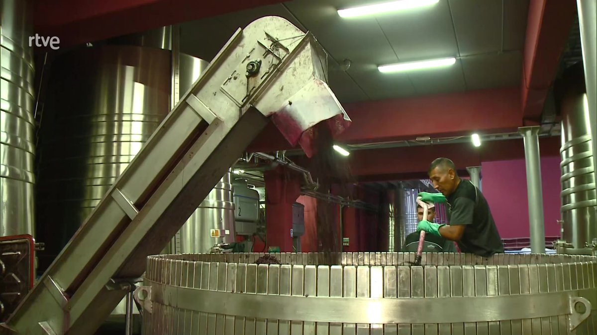 AQHT_TVE's tweet photo. Viajamos a Somontano para conocer una bodega que rompe moldes:

🍇En la recogida de la uva
🍷Elaboración de sus vinos
Hasta en su estética...😍

👩‍🌾65 trabajadores todo el año y hasta 100 en vendimia👨‍💼👷‍♀️

📌Una bodega y unos trabajadores que innovan
⬇️📺
https://t.co/Hlo1BNKCXs https://t.co/DlmKXO5nZC