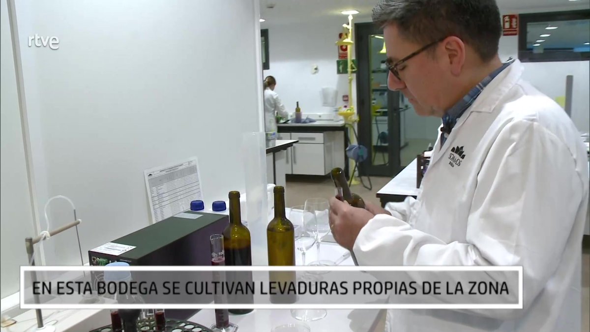 AQHT_TVE's tweet photo. Viajamos a Somontano para conocer una bodega que rompe moldes:

🍇En la recogida de la uva
🍷Elaboración de sus vinos
Hasta en su estética...😍

👩‍🌾65 trabajadores todo el año y hasta 100 en vendimia👨‍💼👷‍♀️

📌Una bodega y unos trabajadores que innovan
⬇️📺
https://t.co/Hlo1BNKCXs https://t.co/DlmKXO5nZC