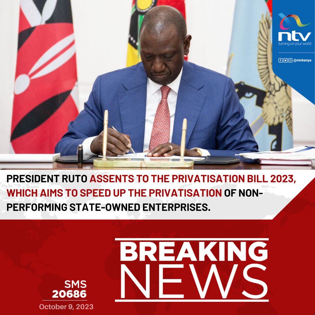 Dimlayo's tweet image. 