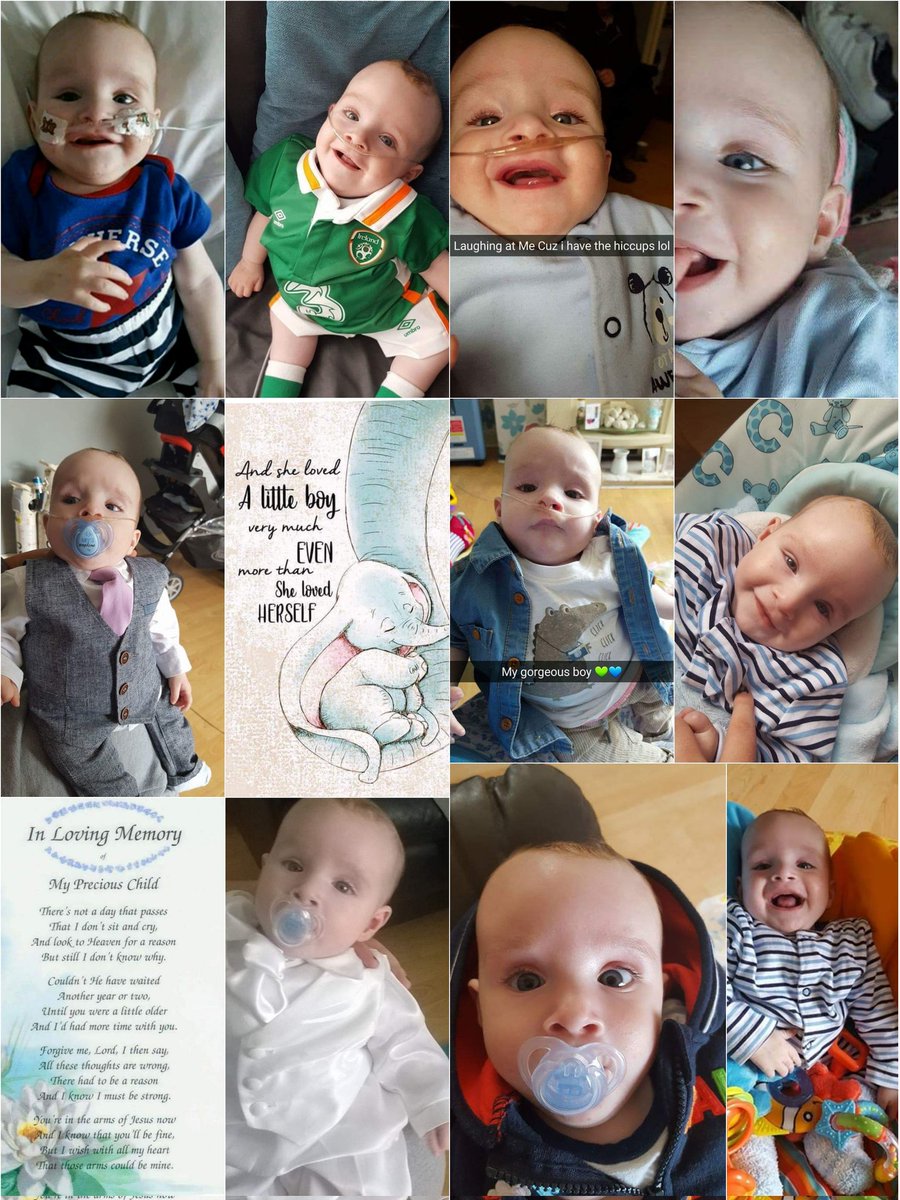 leannemm17's tweet photo. #BLAW #Fintan https://t.co/WdbBQ43VwW