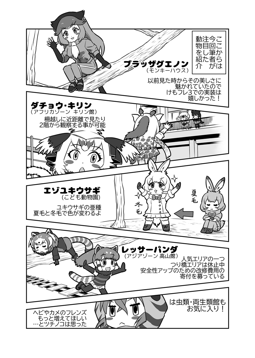 けも3シンリンオオカミ実装記念に昨年描いた円山動物園レポの漫画を公開します(全6ページ)
デザイン発表前だったためエゾユキウサギはユキウサギで代用、シンリンオオカミは旧タイプになっています
象の赤ちゃん早く観に行きたい