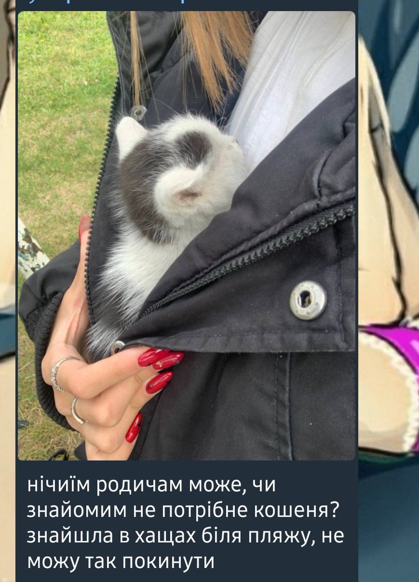 ЛУЦЬК ХТО ХОЧЕ КОШЕНЯ😭😭😭

Дуже хароше маля, візьміть додомцю пліз(((