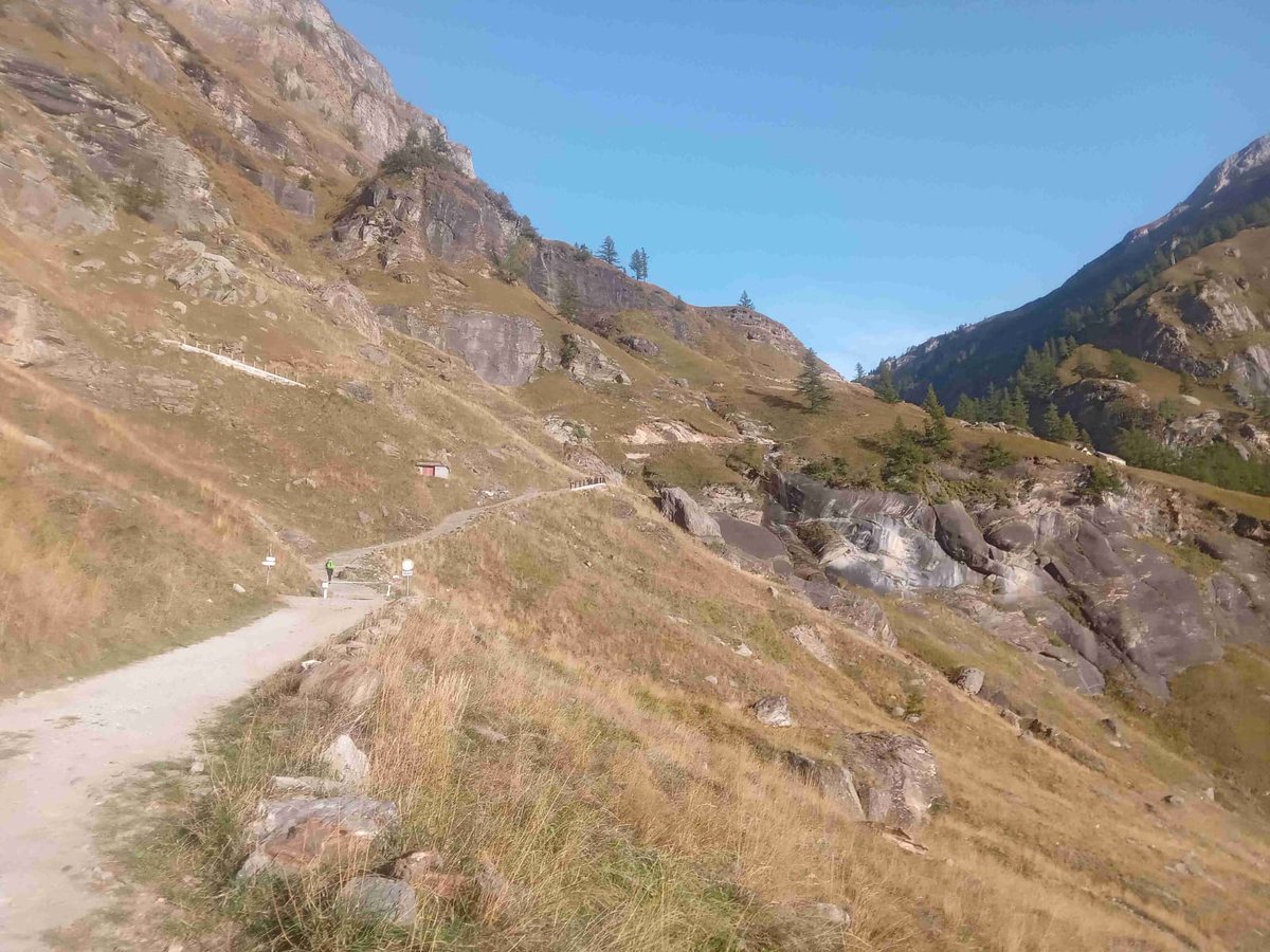 Saliinvetta's tweet photo. Alpe Veglia nel cuore del Piemonte 💚
👉 Qui trovate i dettagli di questa stupenda escursione :
https://t.co/akMG92T3Ay
#piamonte #devero #alpeveglia https://t.co/O0dyqmiOjU