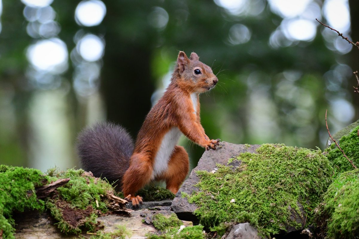 Yvonne Findlay tweet media