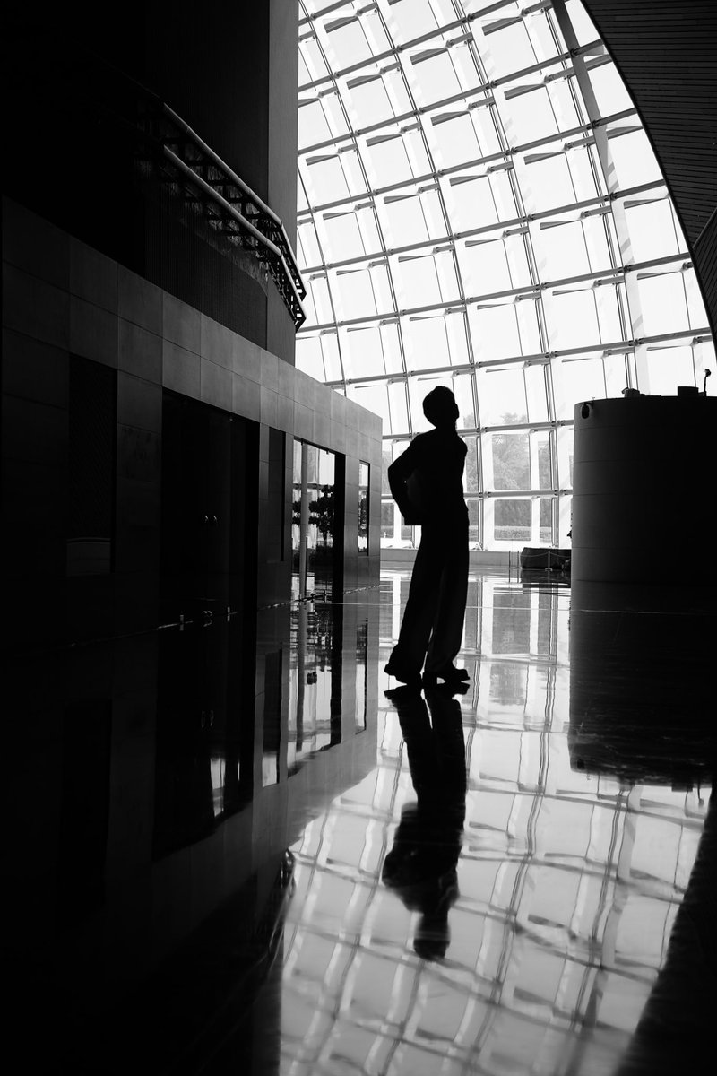 linfengsong1996 tweet media