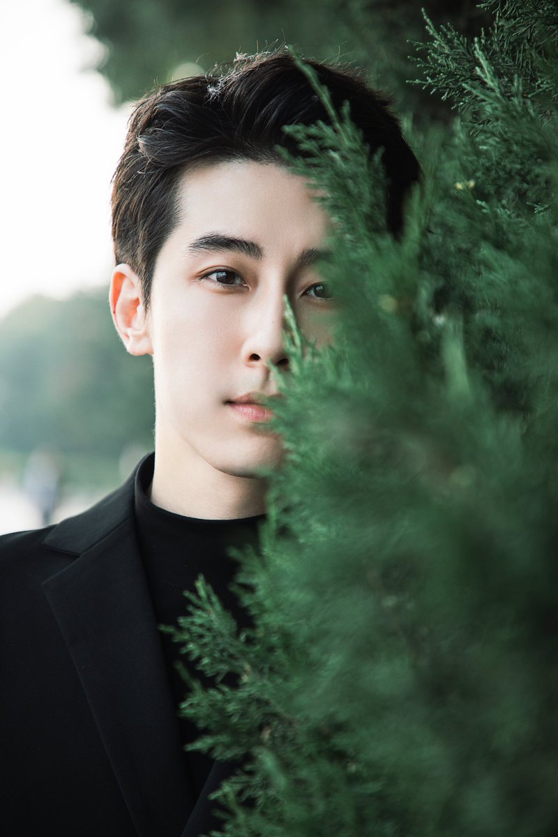 linfengsong1996 tweet media