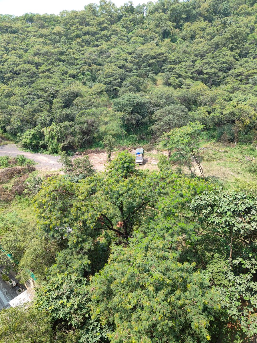 sushma date tweet media