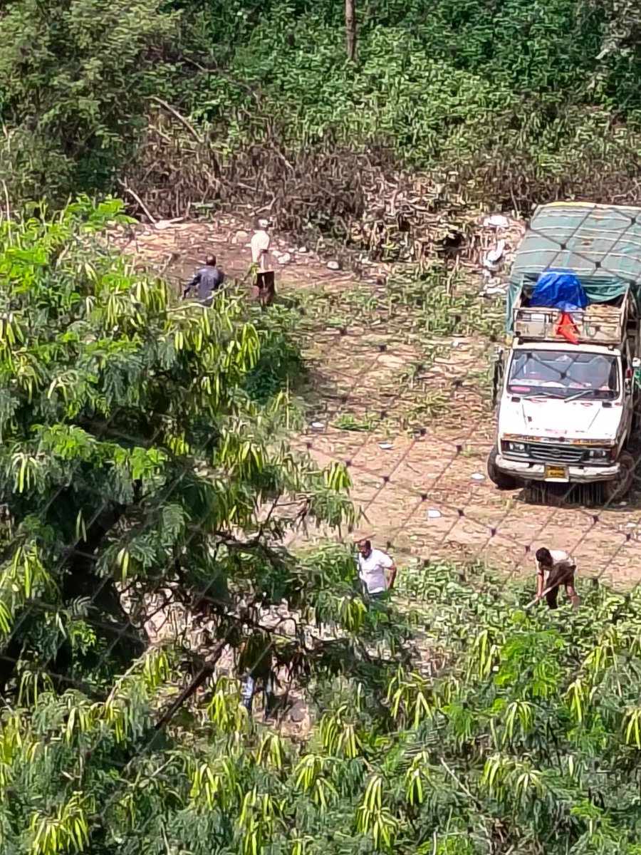 sushma date tweet media