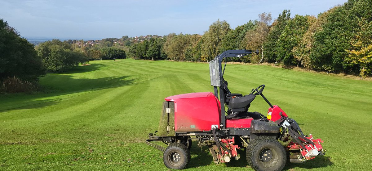 Stewart 𓅪 tweet media