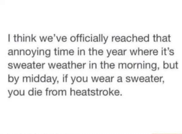 🥀💀 ʝɛռռ ɖɨɛֆɛʟ 💀🥀 (@glitter_pigeon) on Twitter photo 