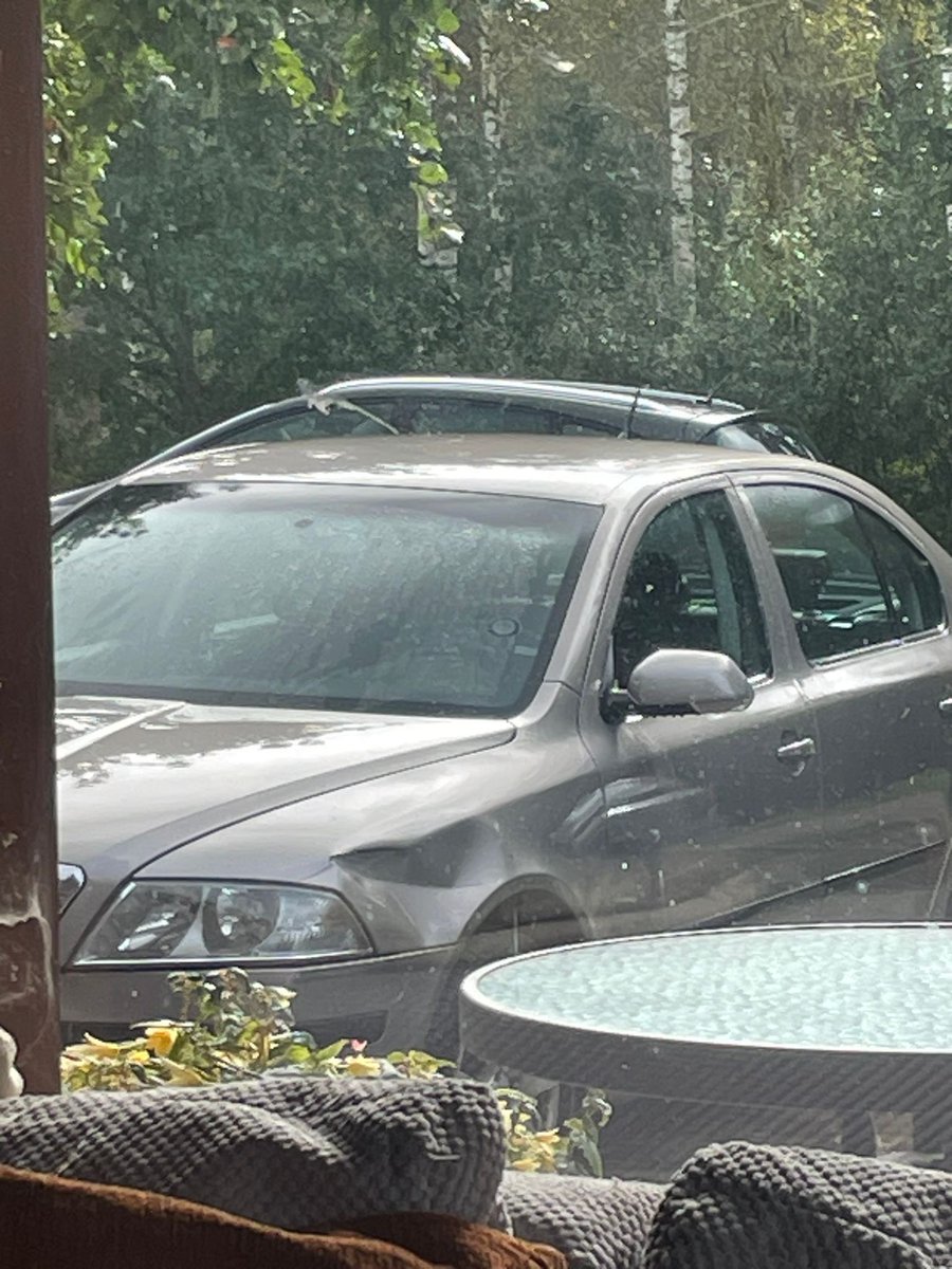 pujatte's tweet photo. @MandraSusha es atbraucu pie vecākiem, sēdēju un pļāpāju, kad tikai pamanīju, ka kāds man smuki ielicis priekšējā spārnā 🤙🏼 šo toč vainīgais nevarēja nejust. https://t.co/S0U99kjSdt