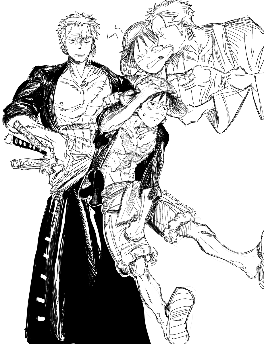 clipsshark2's tweet photo. rkgk #ONEPIECE #zolu https://t.co/sq9gRQ4Csy