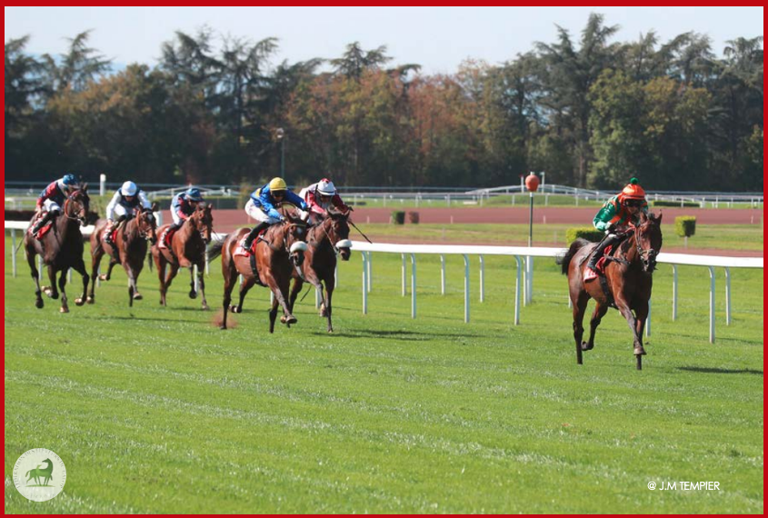 Fedeeleveurs's tweet photo. 🥇KHRISMA, élevée par l'Elevage du Colombier et le Haras de Saint Voir et fille de #Pastorius s’est imposée dans le Prix du Tremblay, Gr. 3 AQPS sur l’hippodrome de Lyon Parilly.
Bravo à tout l’entourage pour ce succès. 👏
#VivelElevageFrançais #BreedInFrance #RaceAndCare https://t.co/h4QIYoSTos