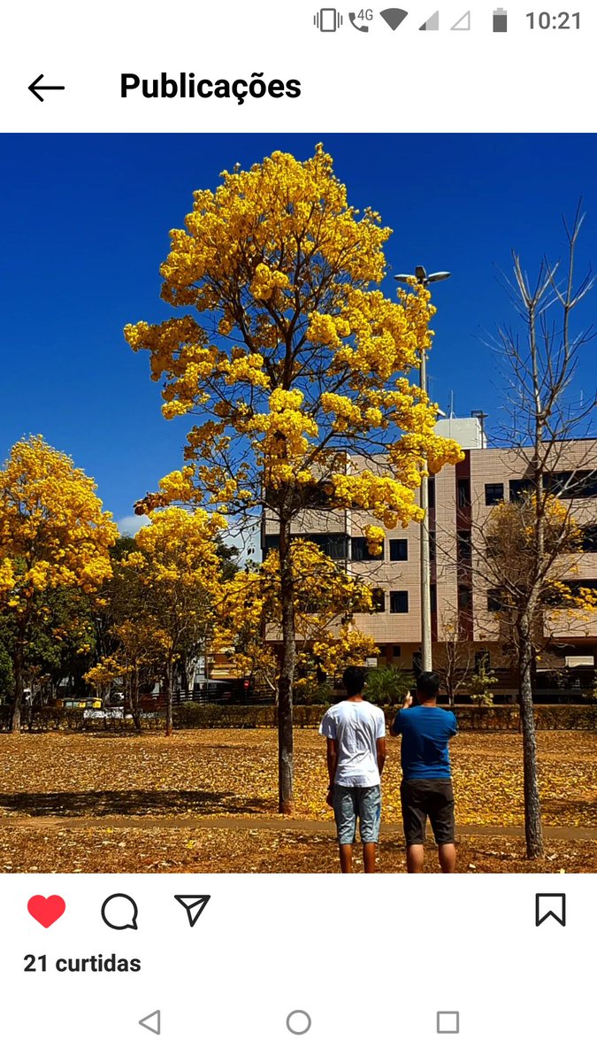 Bom dia que seja uma semana de vitórias pra todos ❤️❤️❤️