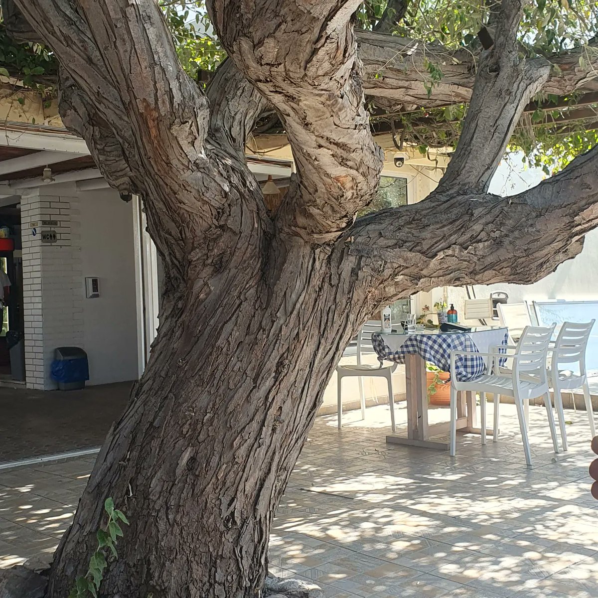 A spot for lunch ❤️🇬🇷