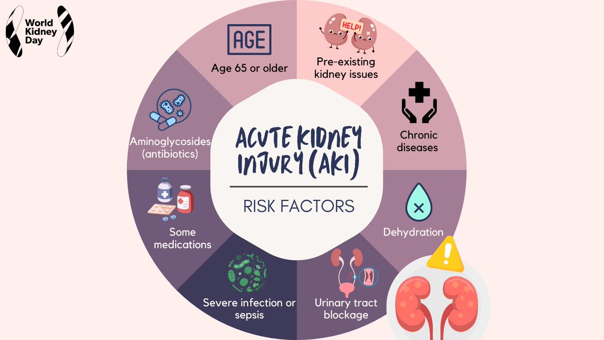 Acute kidney injury (AKI) is a sudden loss of kidney function. Early detection and treatment are essential, as #AKI can be life-threatening in severe cases. People at risk should undertake #blood tests if they become unwell or when starting new #medications. 
#WorldKidneyDay