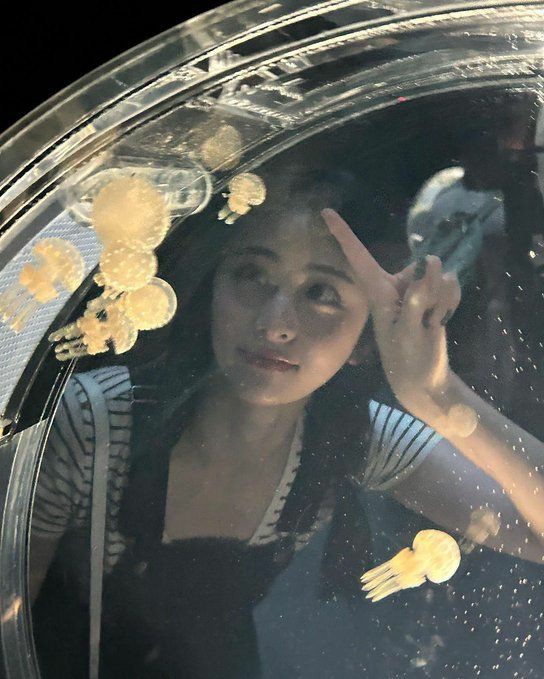 repostead's tweet image. 