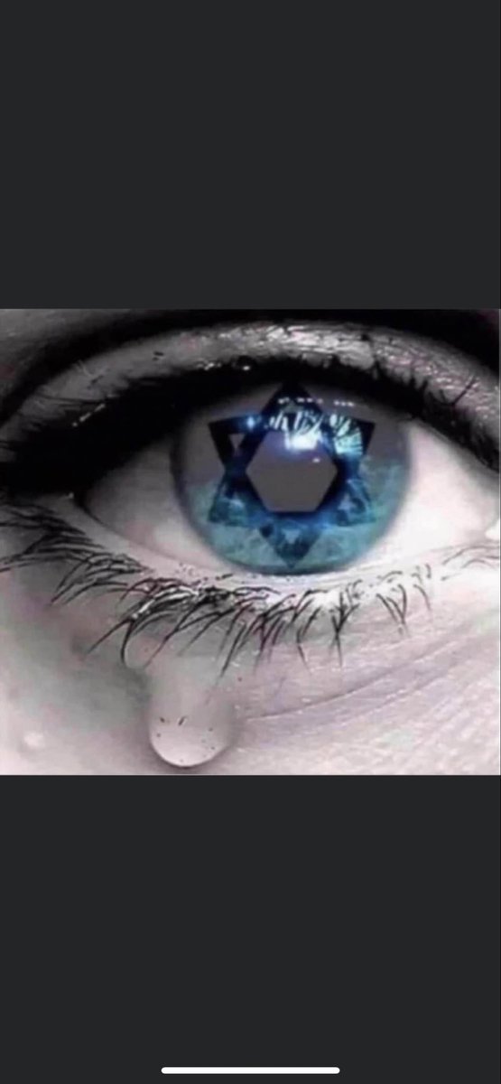 ARDITTIPATRICE's tweet image. 