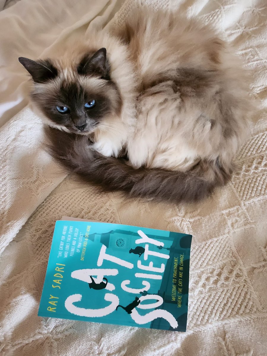 Happy Monday from blue eyed Birman siblings Max and Minnie from Woking. They’ve woken up from their snooze and are getting ready to get stuck into Cat Society!

Thanks to <a href="/HelenaReason/">Helena Reason</a> for the gorgeous pic - and keep sending pics of your cats with their copies of #CatSociety, the