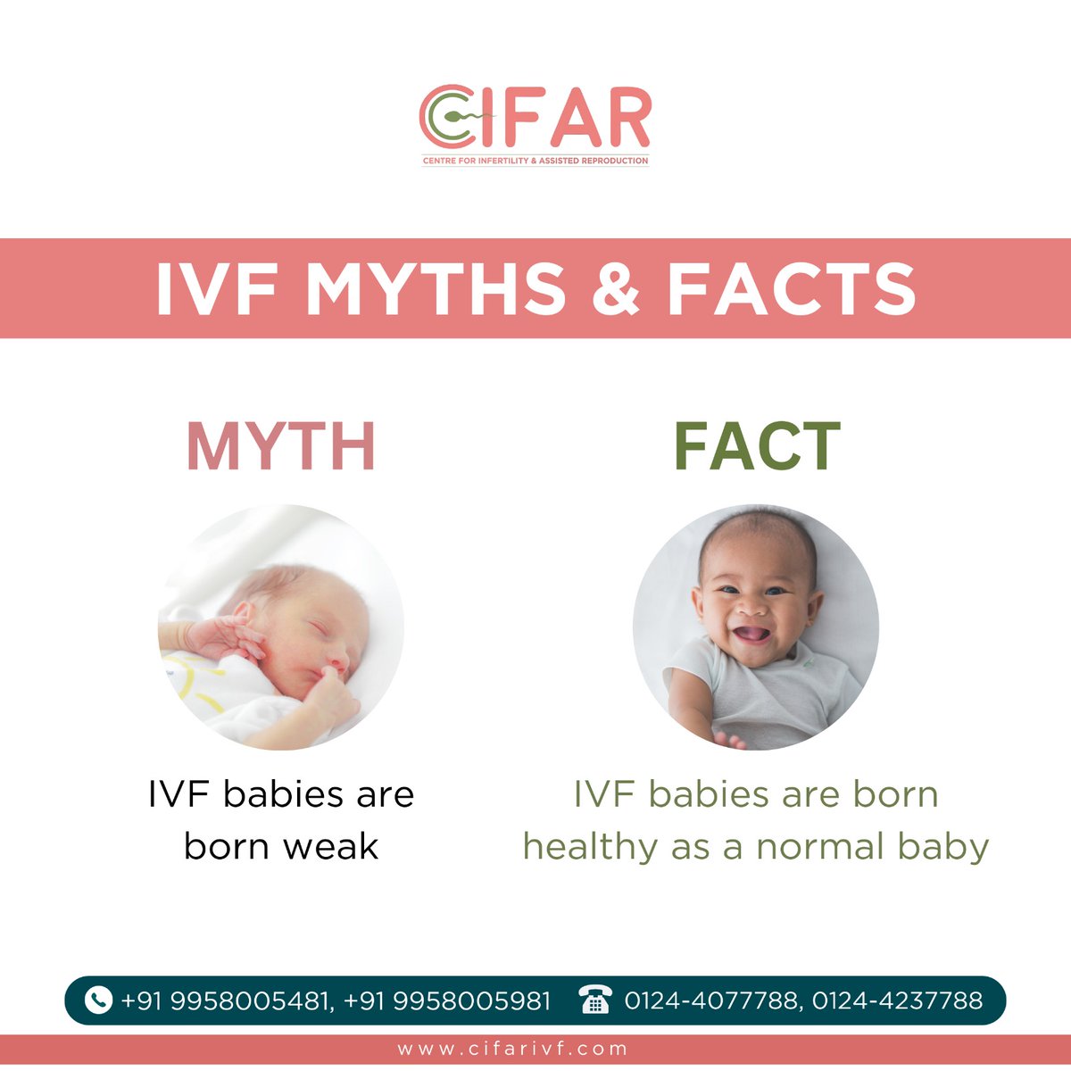 IVF Myth & Facts
For more info
Visit the Website cifarivf.com
Call @ 0124 4077788

#cifar #infertility #InfertilityCentre #assistedreproduction #DrPuneetRanaArora #infertility #MiracleOfParenthood #ParenthoodDreams #IVFBabies #HealthyBabies #FertilityTreatment