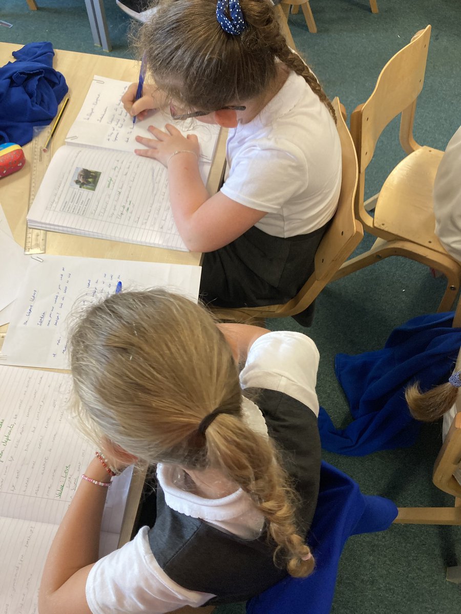 Foxfield - Year 3 tweet media