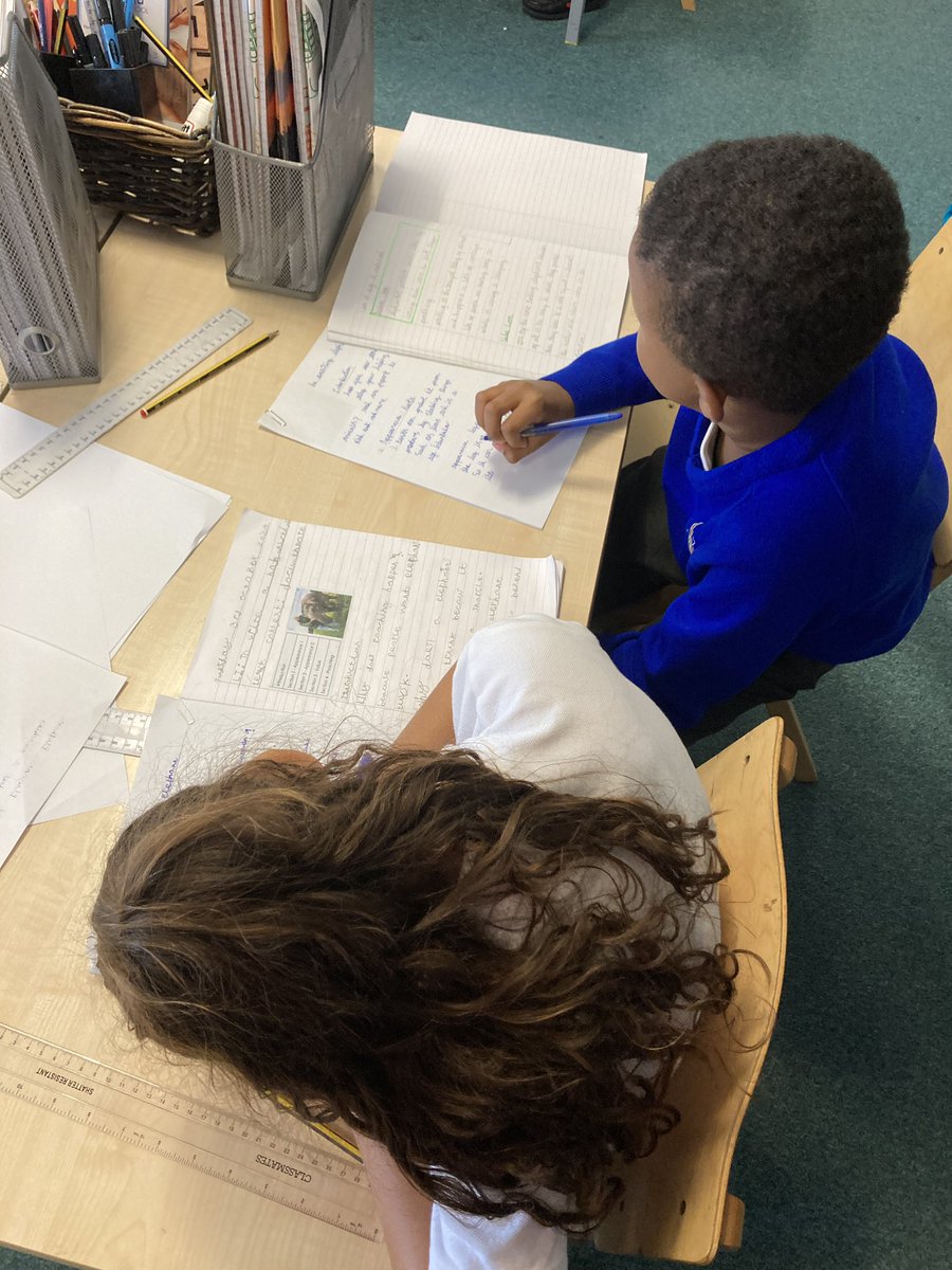 Foxfield - Year 3 tweet media