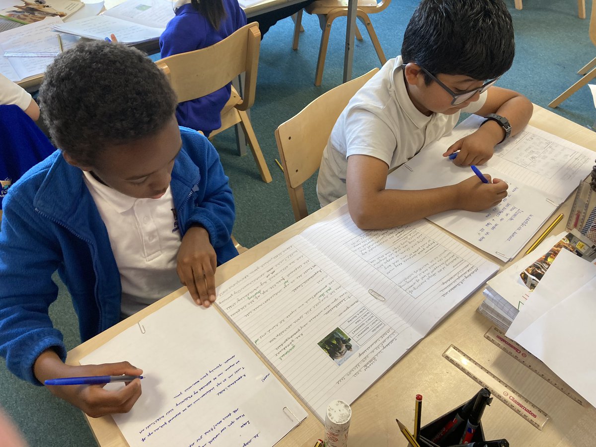 Foxfield - Year 3 tweet media