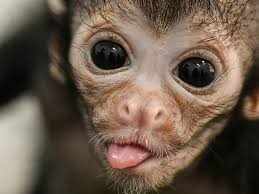 Manusia tidak jelas, dia yg ajak baru skrg byk alasan.. fuck