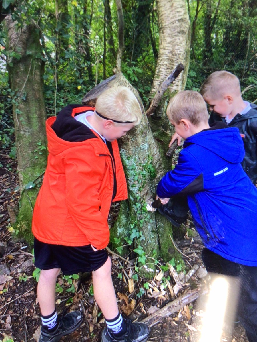 PenllergaerP's tweet photo. @PenllergaerP year2 had a great time down the woods this morning. They loved exploring! #PPSOut
ππππͺ΅ https://t.co/uOZyFl3VqD