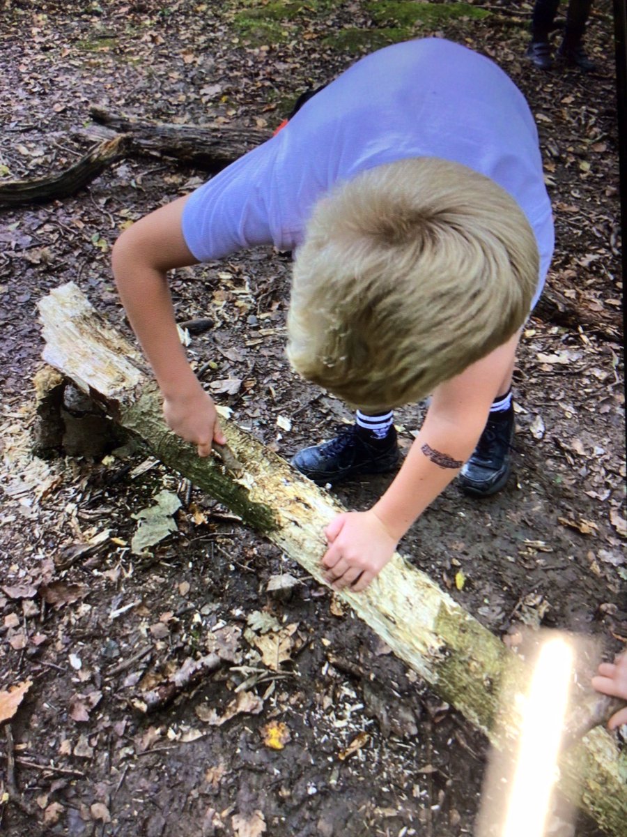 PenllergaerP's tweet photo. @PenllergaerP year2 had a great time down the woods this morning. They loved exploring! #PPSOut
ππππͺ΅ https://t.co/uOZyFl3VqD