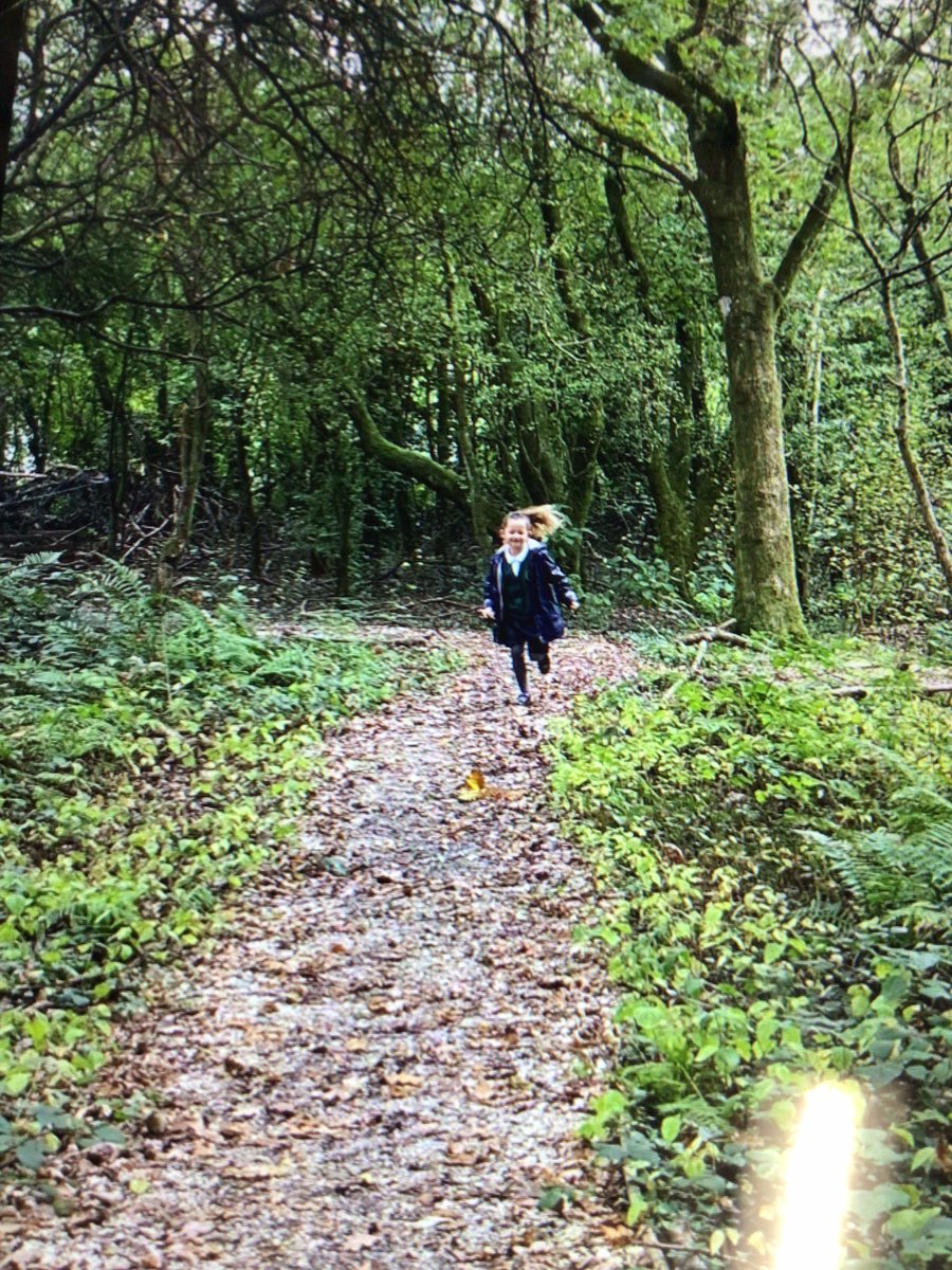 PenllergaerP's tweet photo. @PenllergaerP year2 had a great time down the woods this morning. They loved exploring! #PPSOut
ππππͺ΅ https://t.co/uOZyFl3VqD